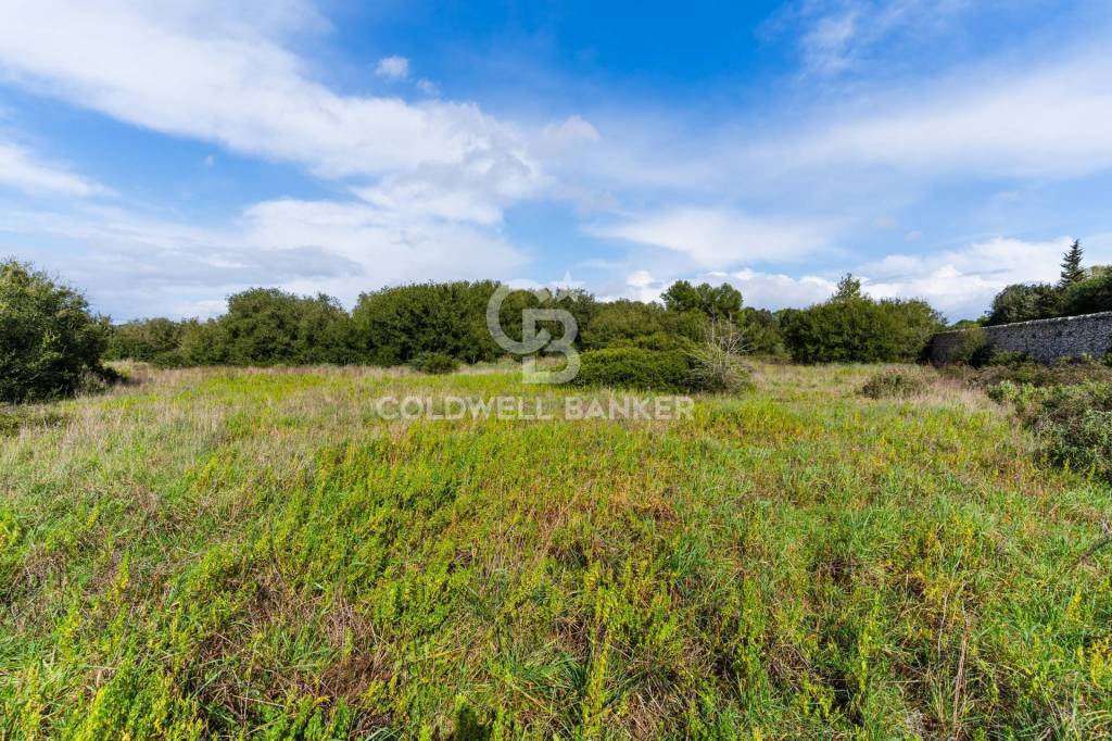 immagine annuncio 8 di 11