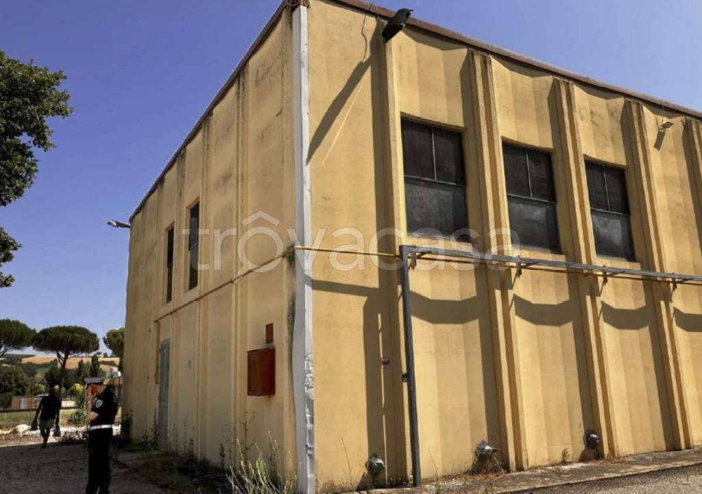 immagine annuncio 8 di 11