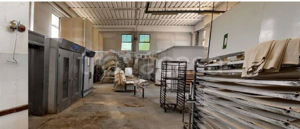 immagine annuncio 9 di 11