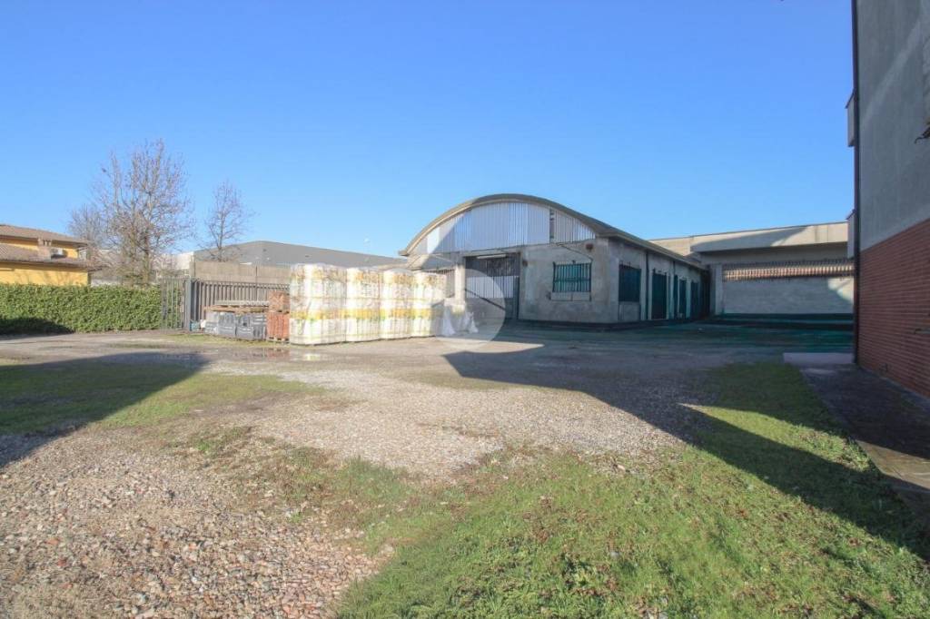 immagine annuncio 6 di 11