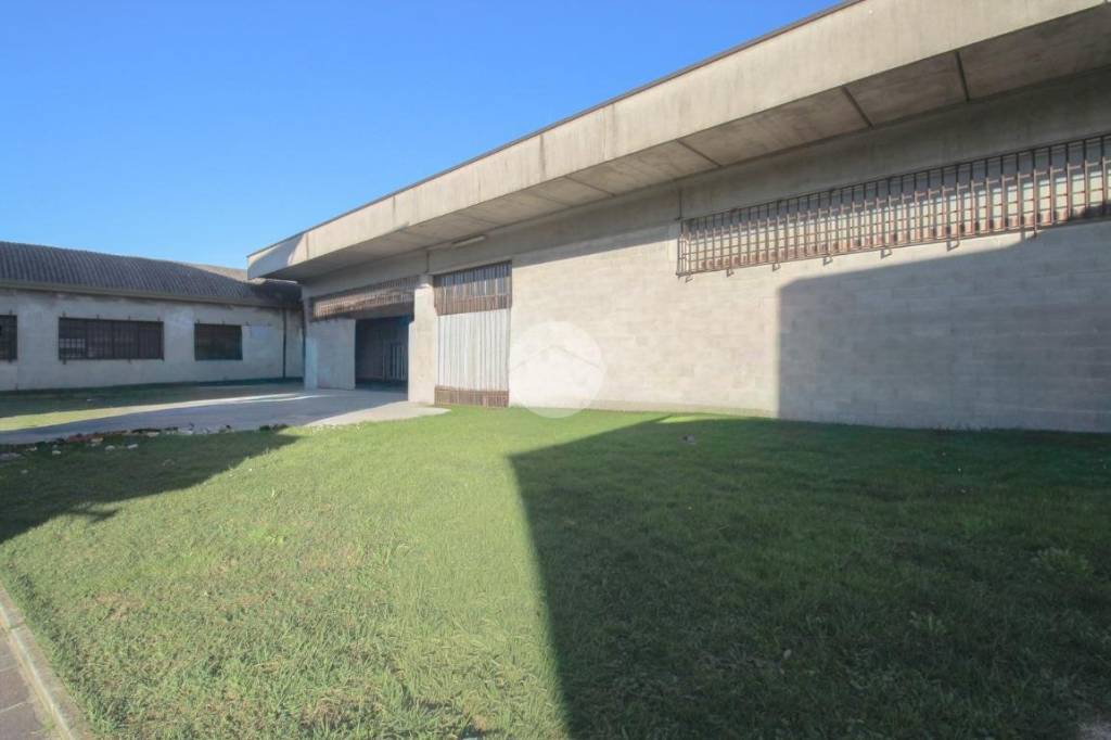 immagine annuncio 7 di 11