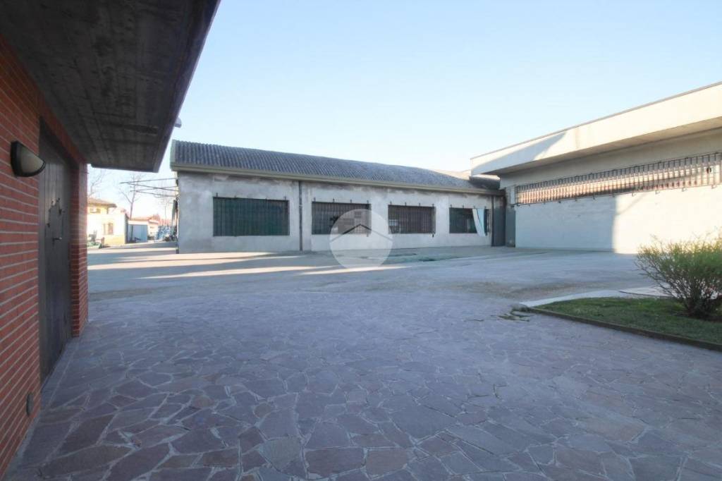 immagine annuncio 9 di 11