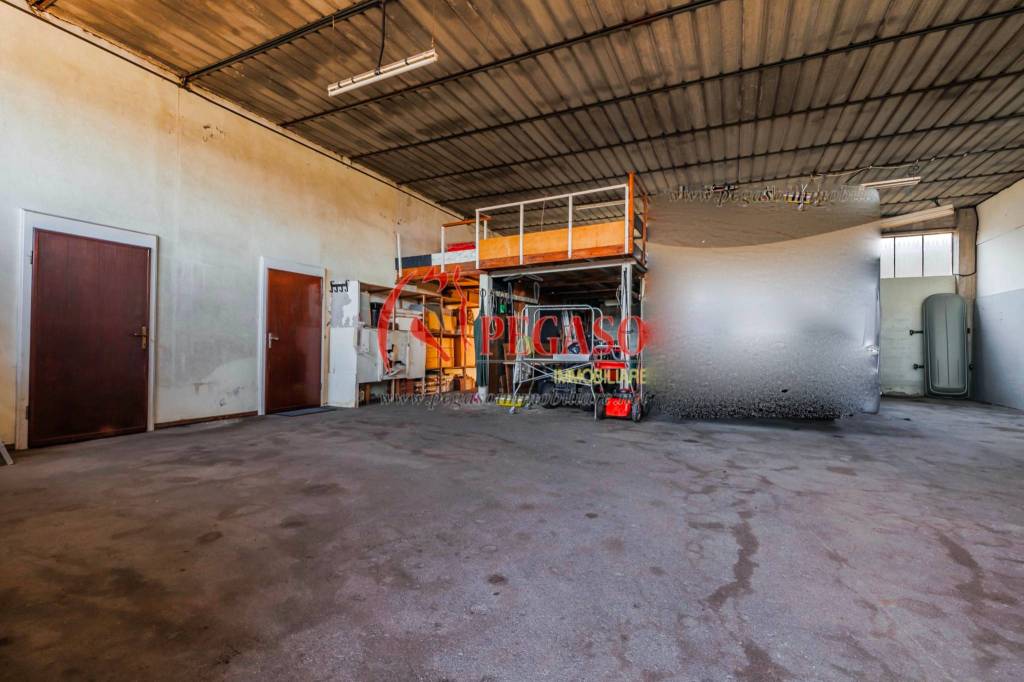 immagine annuncio 8 di 15