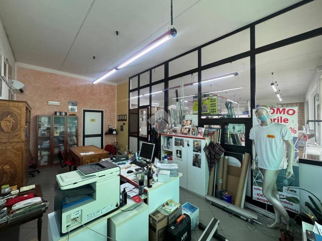 immagine annuncio 8 di 15