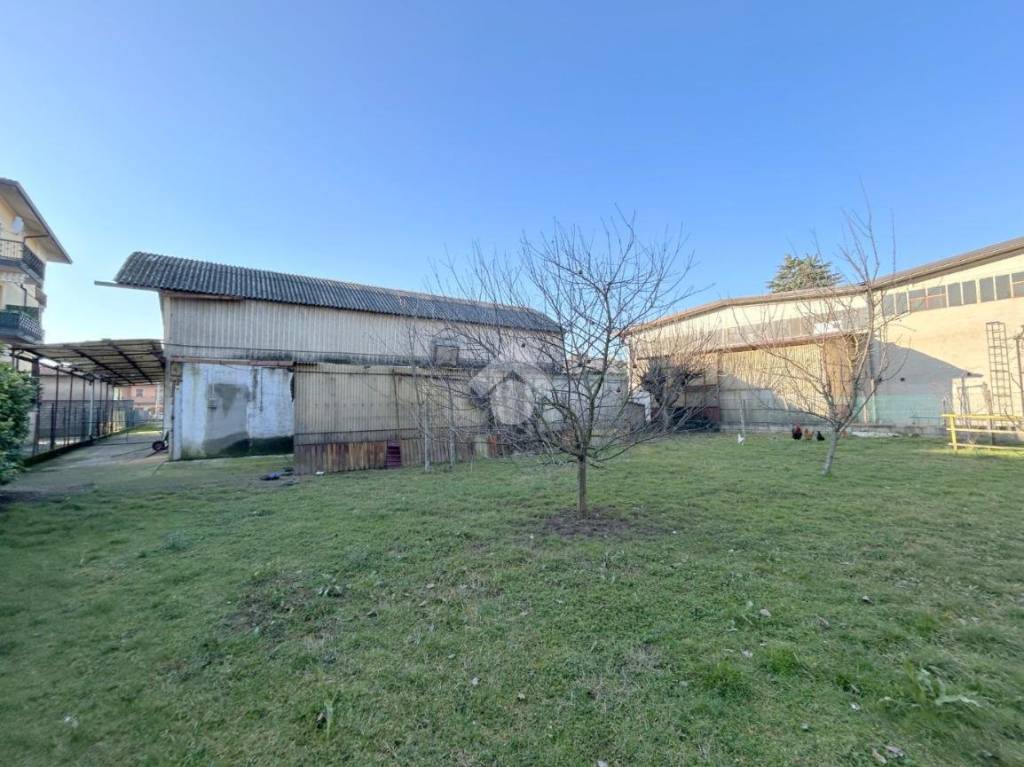 immagine annuncio 1 di 15