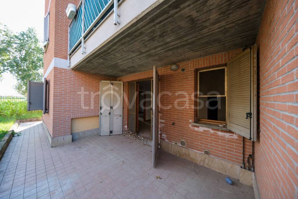 immagine annuncio 1 di 13