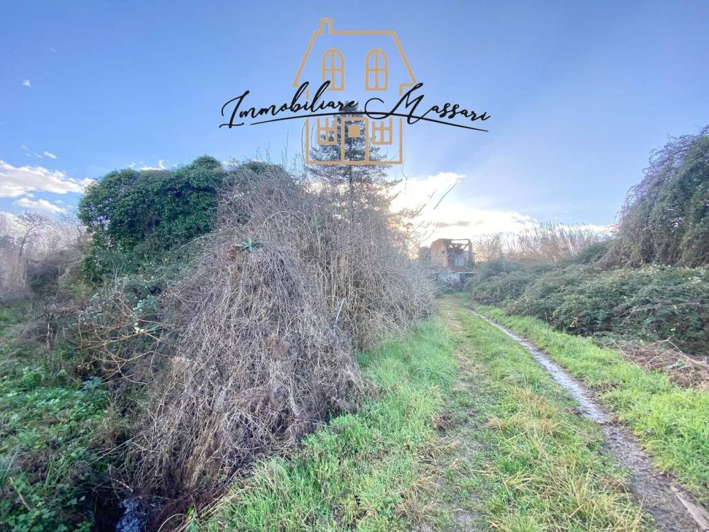 immagine annuncio 11 di 13