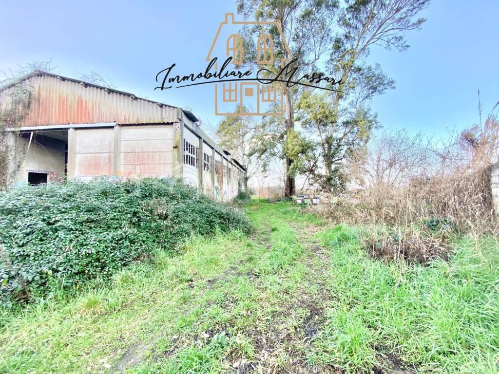 immagine annuncio 12 di 13