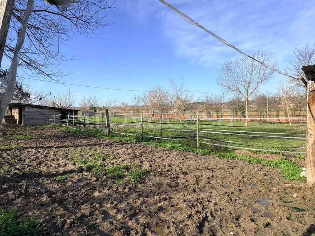 immagine annuncio 1 di 4