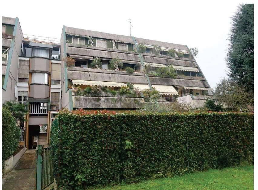 immagine annuncio 2 di 12