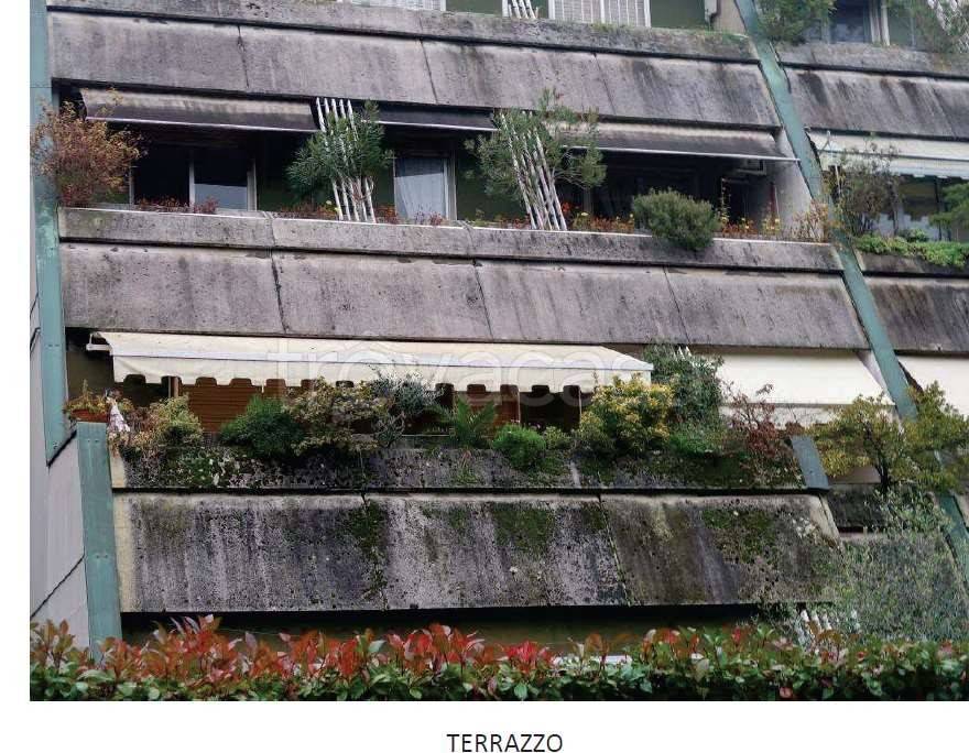 immagine annuncio 3 di 12