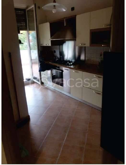 immagine annuncio 5 di 12