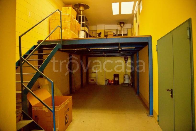 immagine annuncio 7 di 15