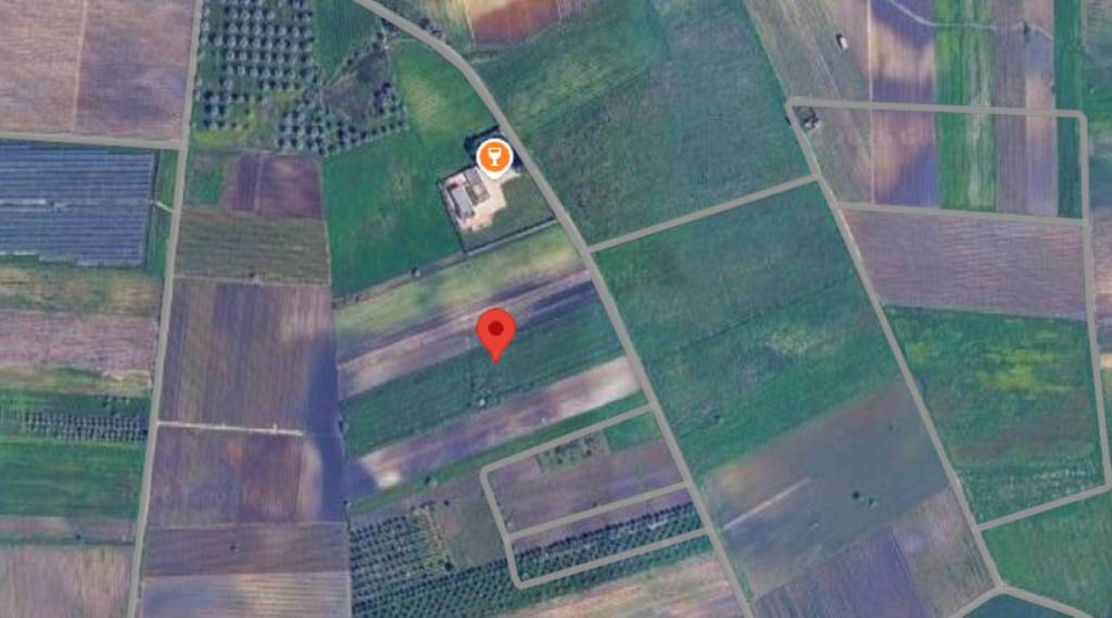 immagine annuncio 7 di 11