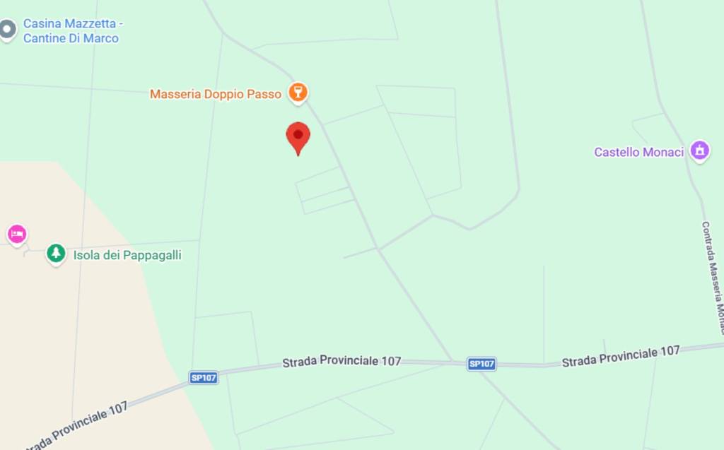 immagine annuncio 9 di 11