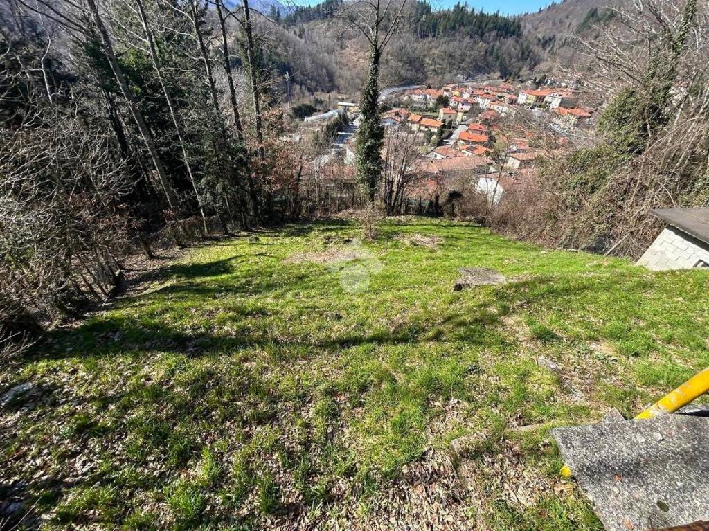 immagine annuncio 6 di 11