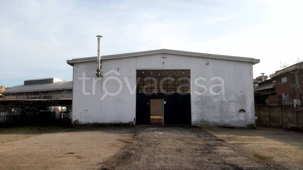 immagine annuncio 10 di 15