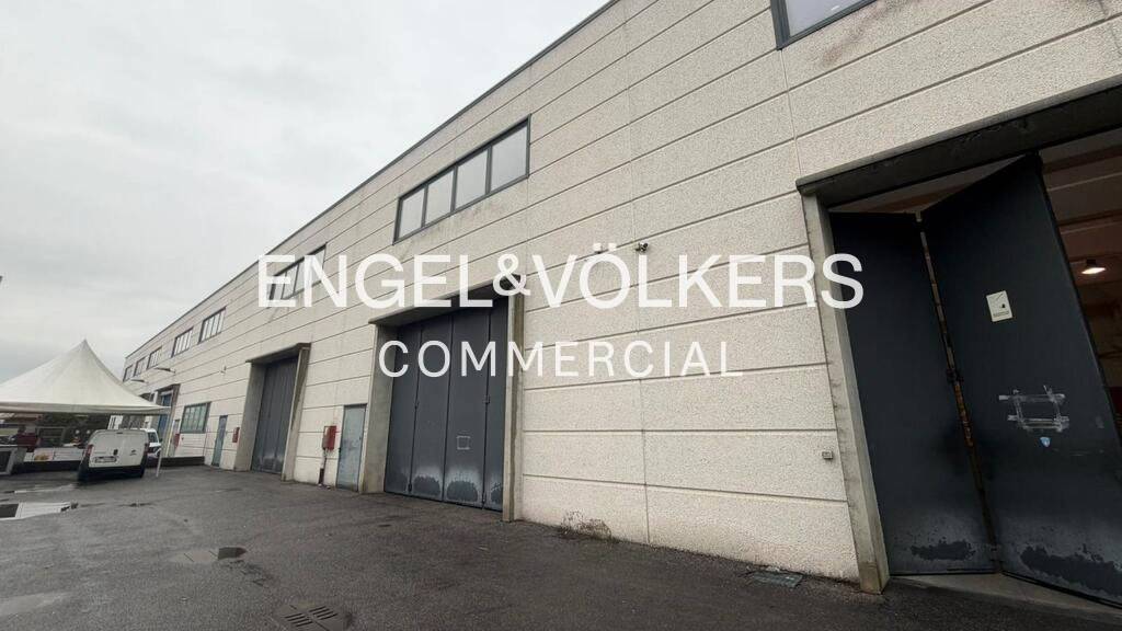 immagine annuncio 11 di 13