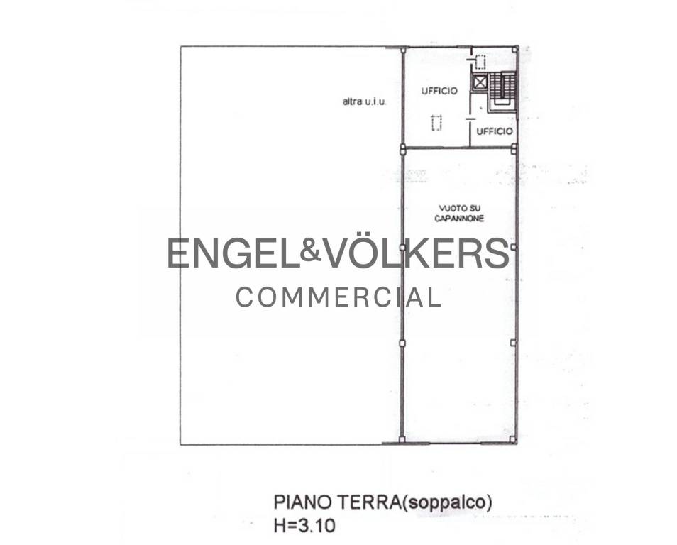 immagine annuncio 12 di 13