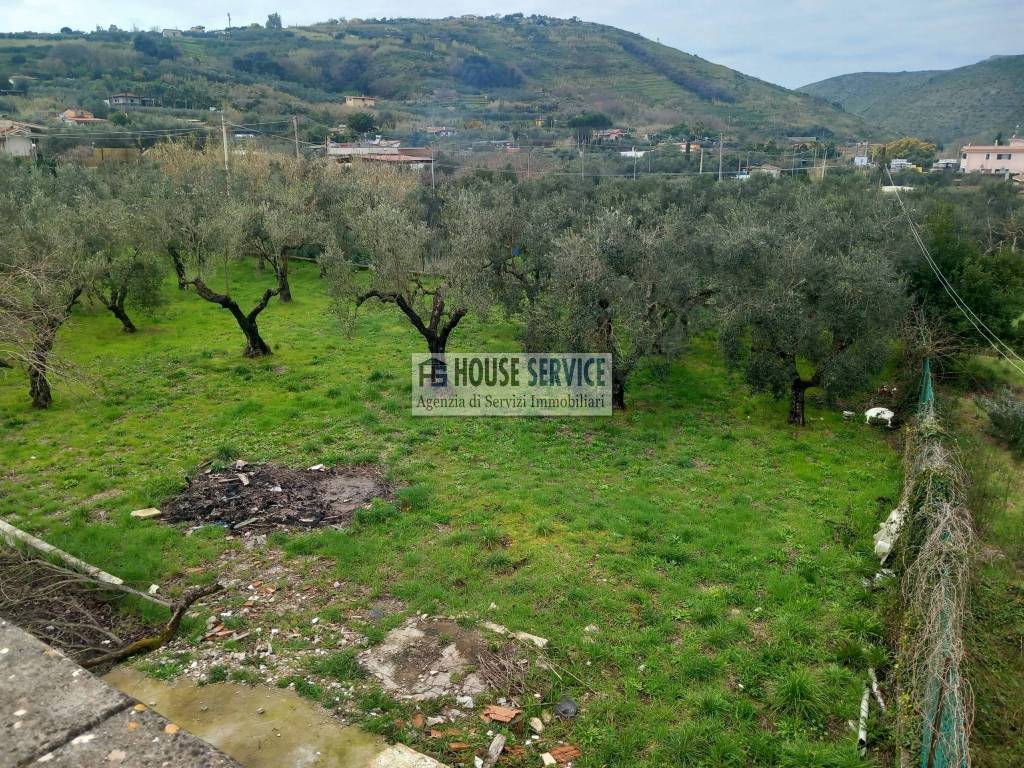 immagine annuncio 4 di 11