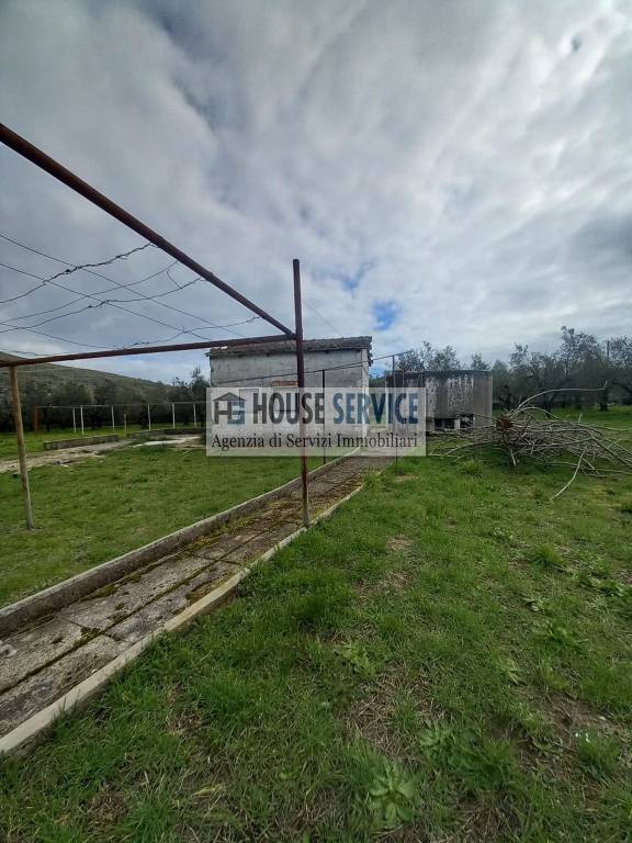 immagine annuncio 1 di 11