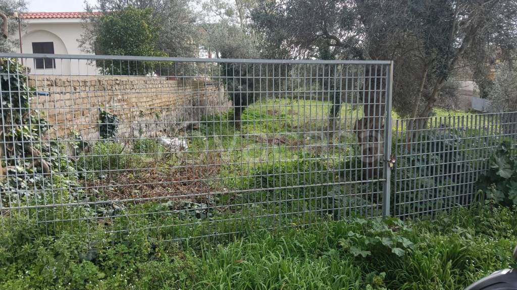 immagine annuncio 6 di 12