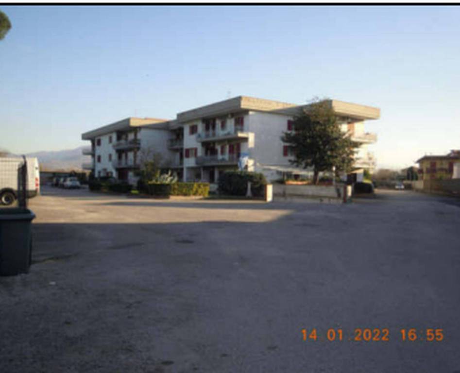 immagine annuncio 11 di 13