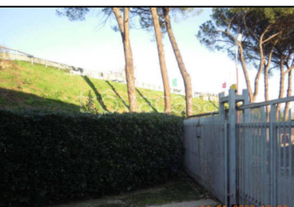 immagine annuncio 12 di 13