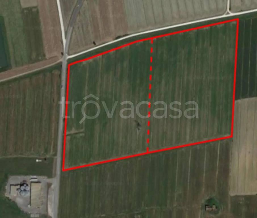 immagine annuncio 3 di 9