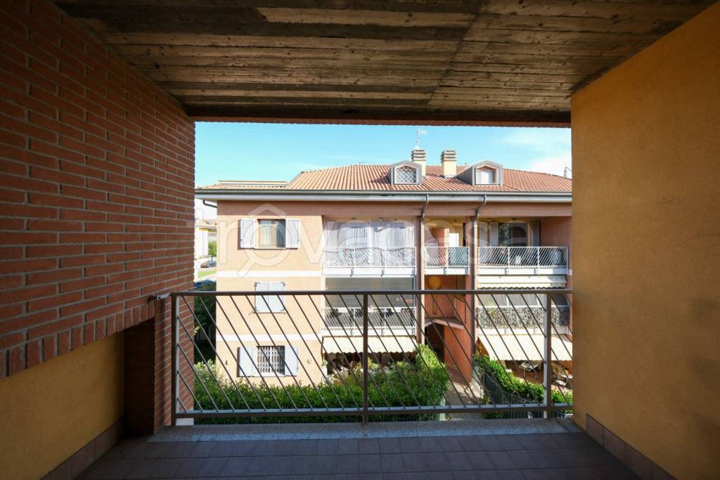 immagine annuncio 5 di 12