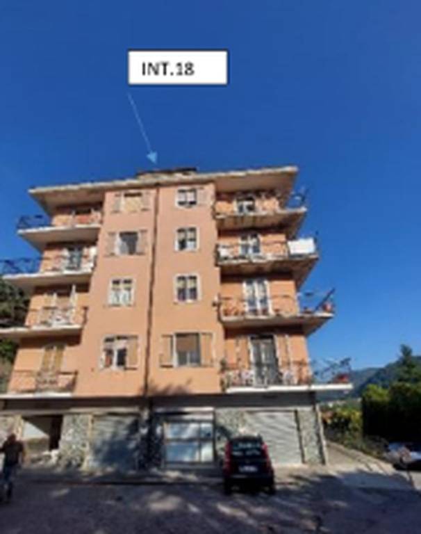 immagine annuncio 2 di 11