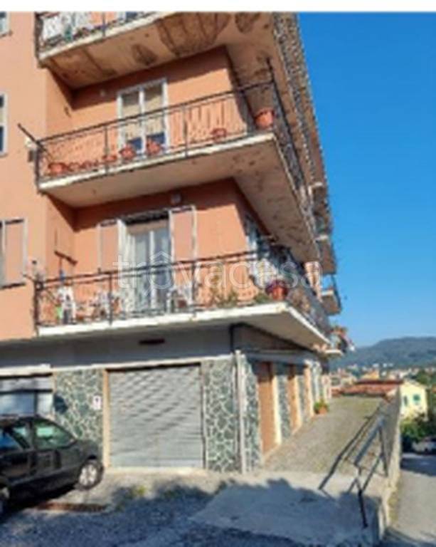 immagine annuncio 6 di 11