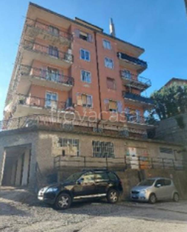 immagine annuncio 7 di 11