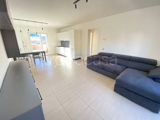 immagine annuncio 1 di 12