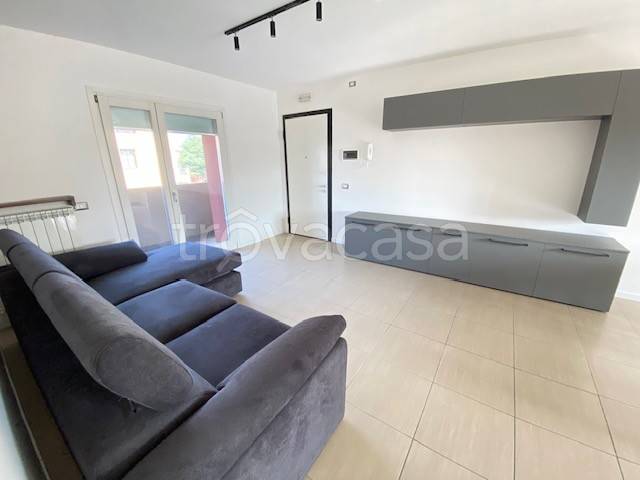 immagine annuncio 2 di 12