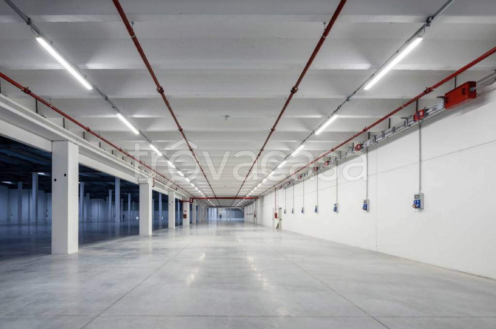 immagine annuncio 1 di 2