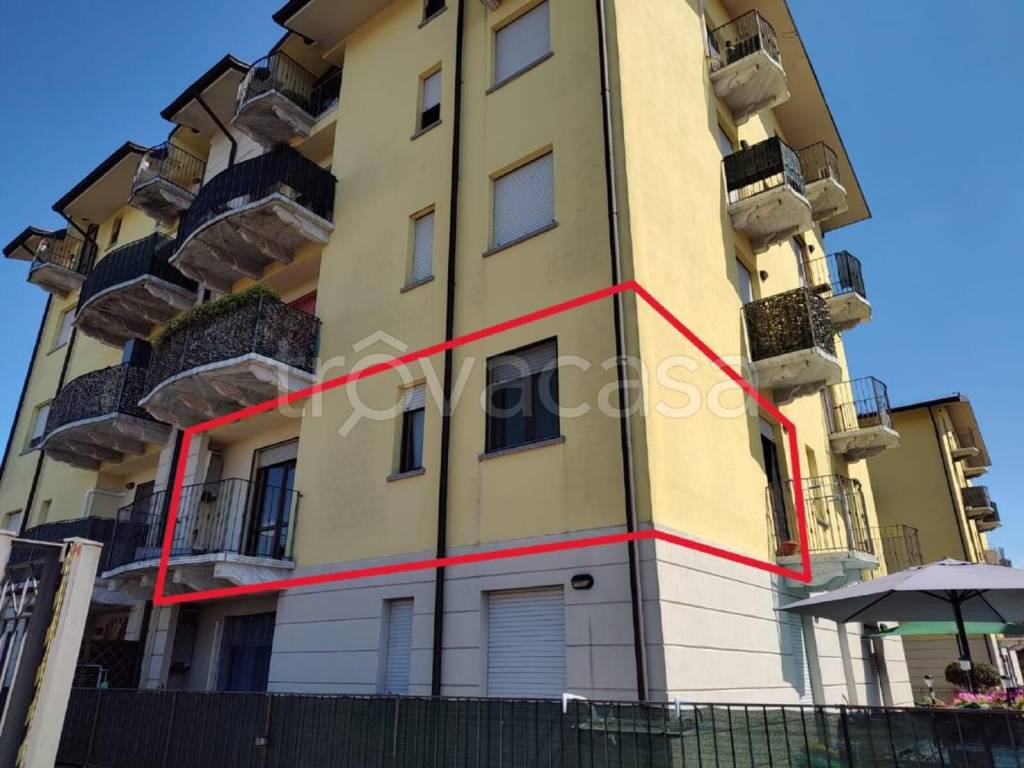 immagine annuncio 1 di 12