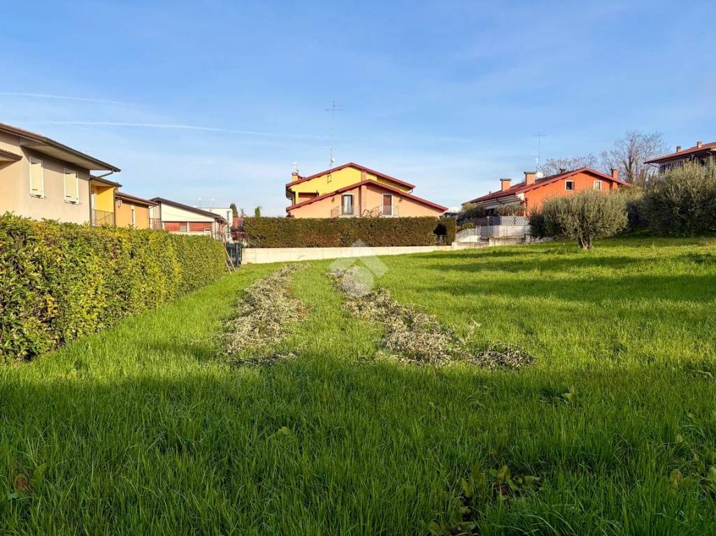 immagine annuncio 1 di 15