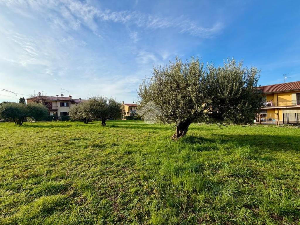 immagine annuncio 6 di 15