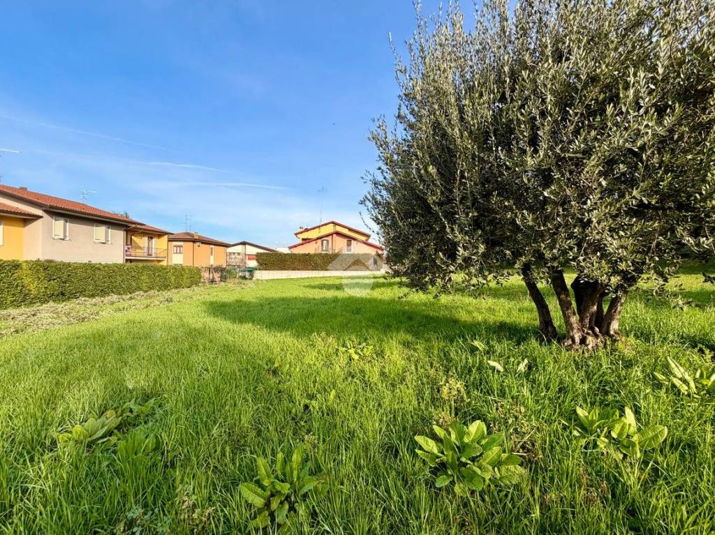 immagine annuncio 14 di 15