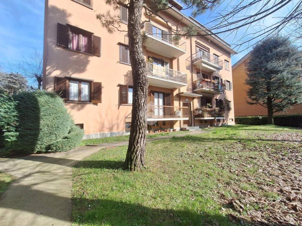 immagine annuncio 2 di 15