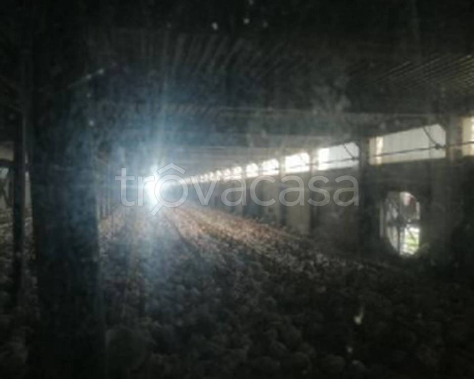 immagine annuncio 4 di 11