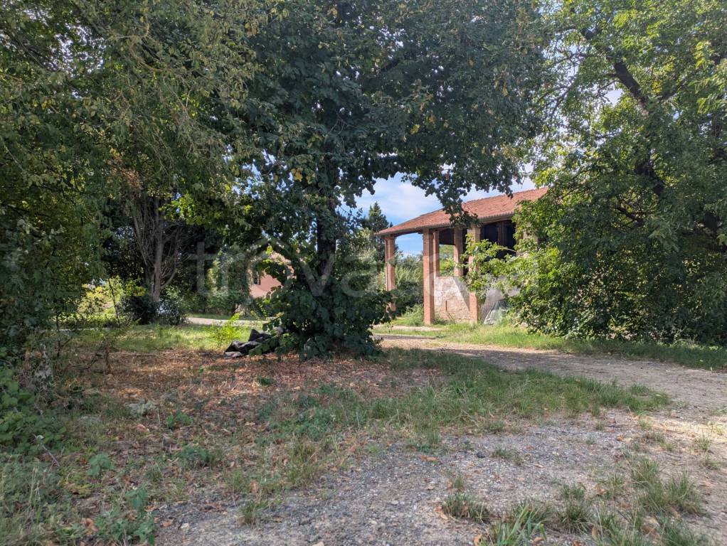 immagine annuncio 5 di 11