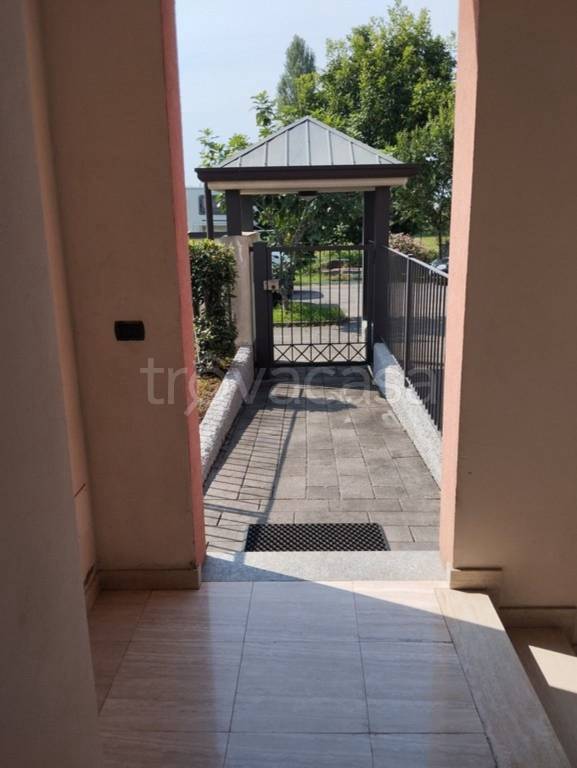 immagine annuncio 4 di 12