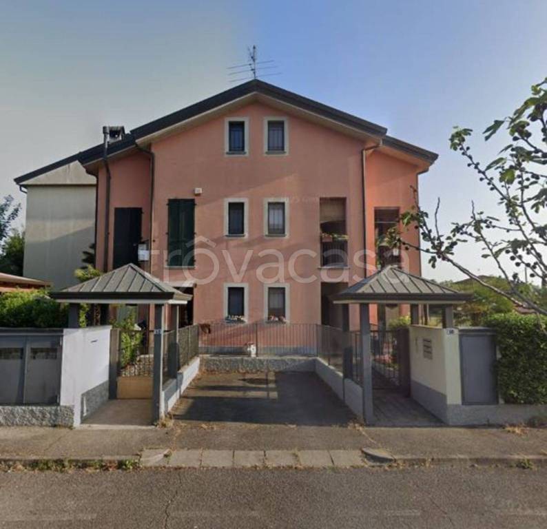 immagine annuncio 5 di 12