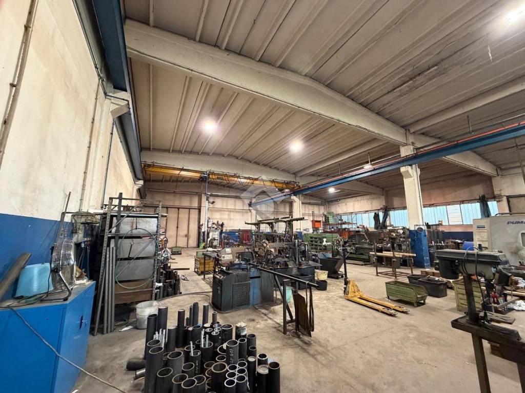 immagine annuncio 10 di 15