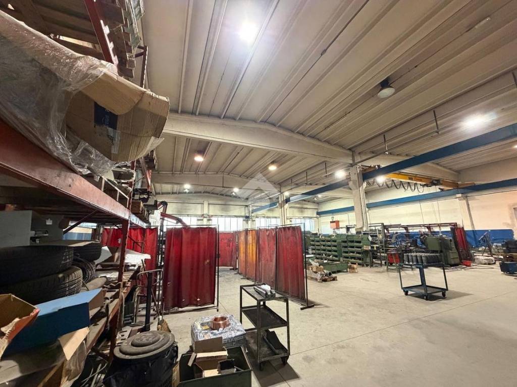 immagine annuncio 11 di 15