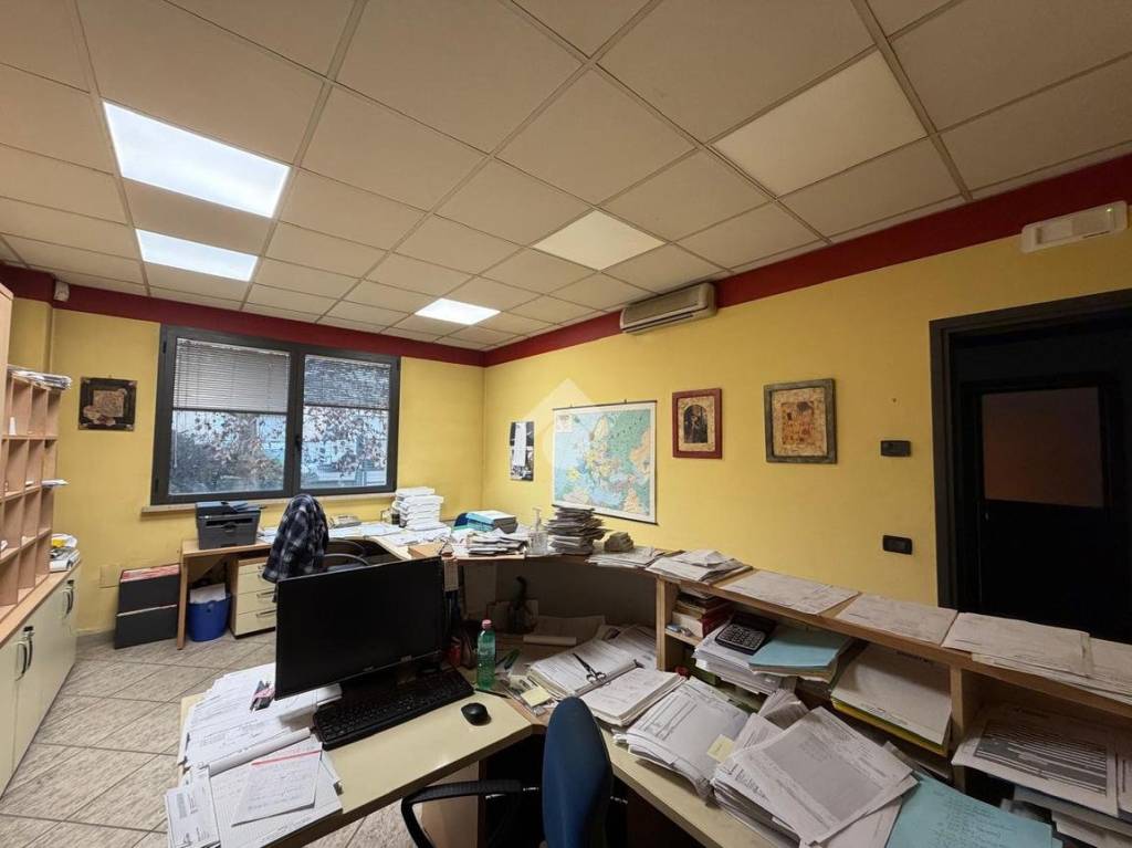 immagine annuncio 12 di 15