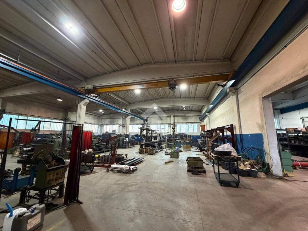 immagine annuncio 6 di 15