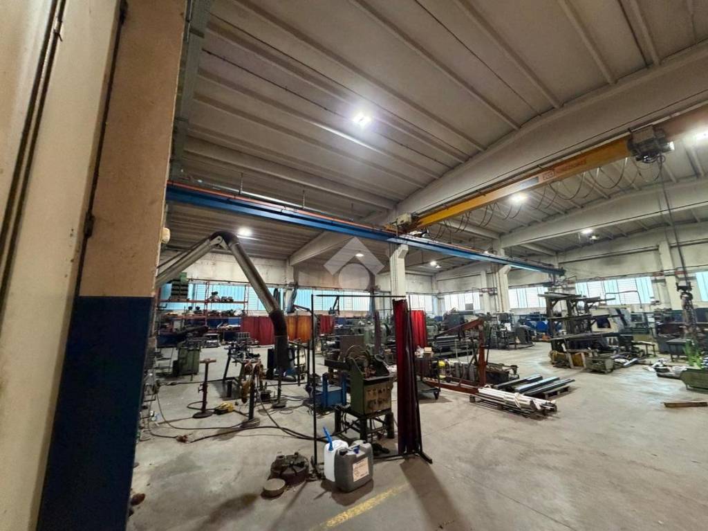 immagine annuncio 14 di 15